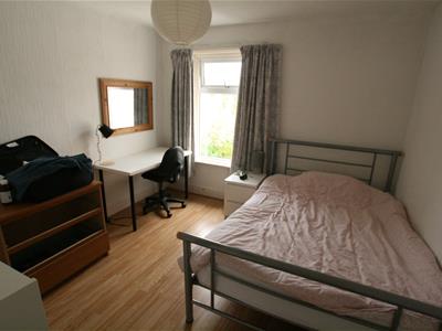 Picture 5